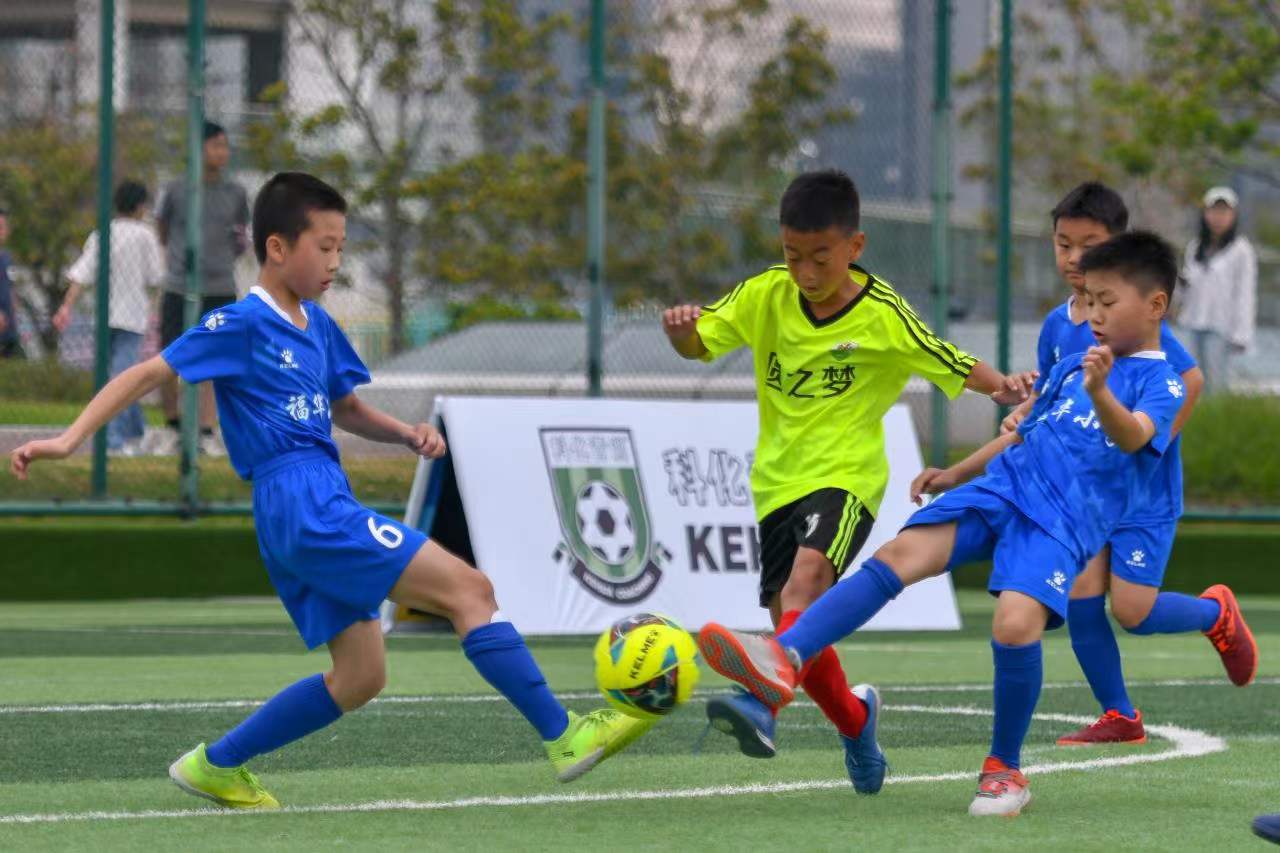 甲其他竞争 甲其他竞争