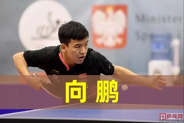 在篮球世界 在篮球世界