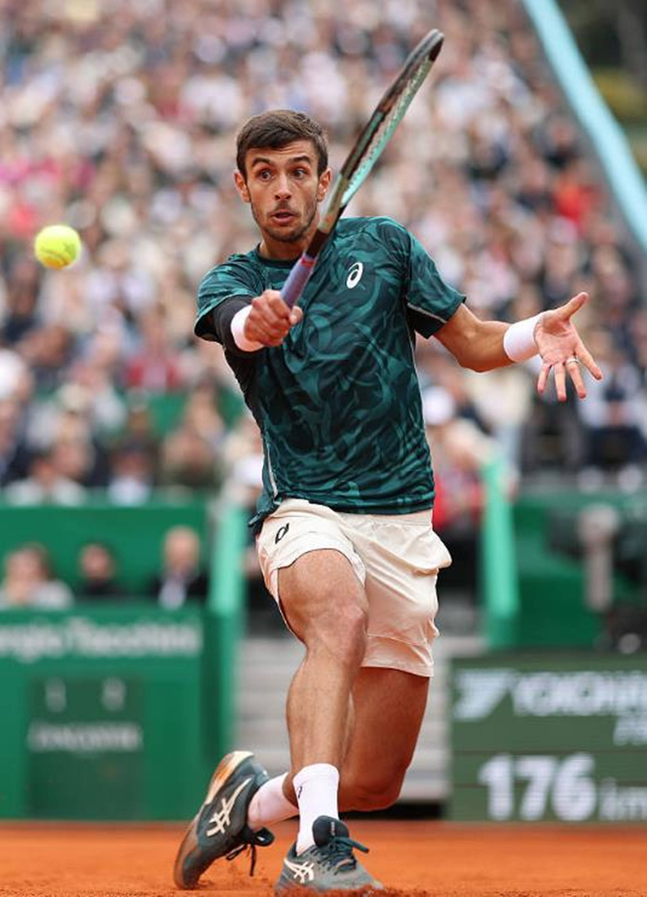 提供了灵活 提供了灵活