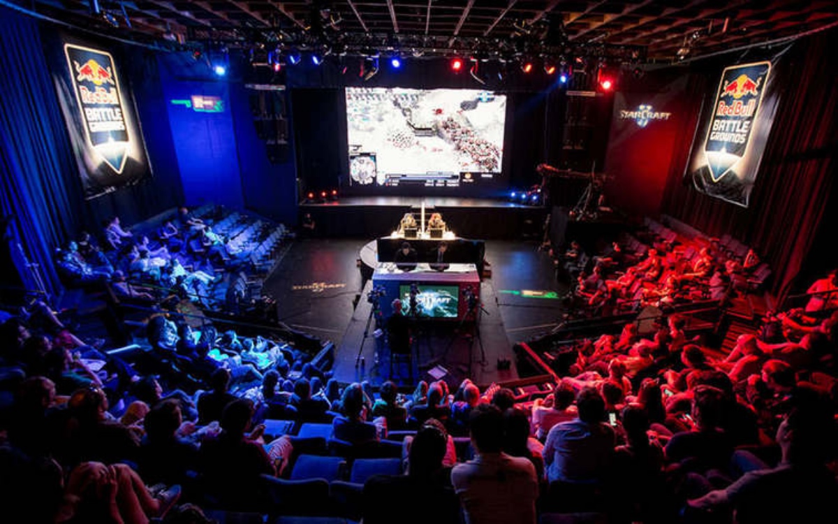 勇士管理层 勇士管理层